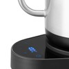 Bodum 34 oz Bistro Gooseneck Electric Water Kettle, Pour Over