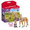 Schleich 41431 Horse Grooming with Island Pony Mare Toy Figure,