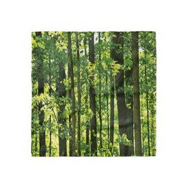 Lunarable Nature Head Scarf, Refreshing Young Forest with Canadian Maple Trees Foliage Environment Image, Hair Wrap, 35" X 35", Green Brown