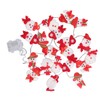 Snowman String Lights Cute Snowman Design 6.6ft Long Remote Control
