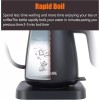 Boscare Electric Gooseneck Kettle 0.6 Liters / 600 ml Stainless