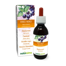 Blackcurrant (Ribes Nigrum) Alcohol-Free Bud Extract from French Buds Naturalma Liquid Extract Drops 120 ml Dietary Supplement Vegan