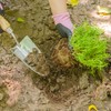 Berry&Bird Stainless Steel Trowel, Garden Small Flower Hand Shovel, Potting