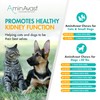 AminAvast Small Dogs & Cat Kidney Support - Promotes Healthy
