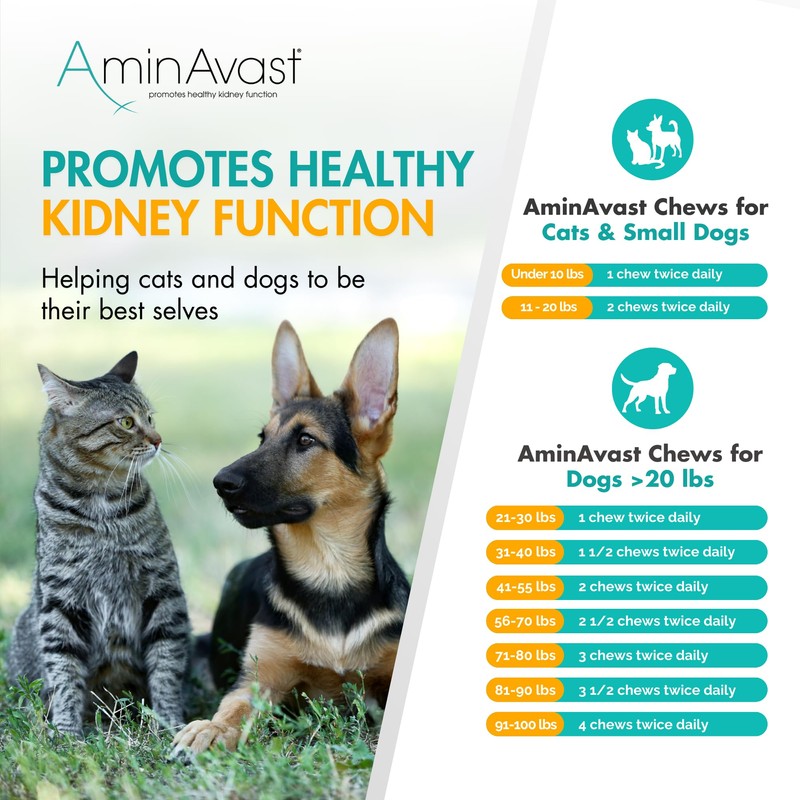 AminAvast Small Dogs & Cat Kidney Support - Promotes Healthy