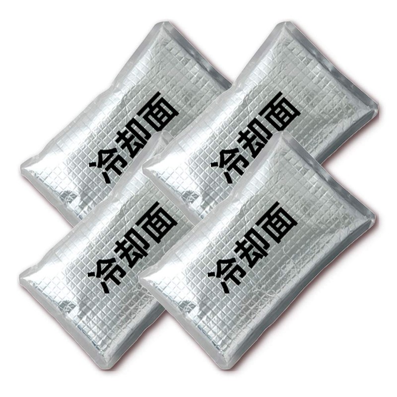 AITOZ AZ865933 101 Silver F Ice Packs, Set of 4,