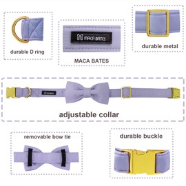 Maca Bates Dog Collar with Bow Bowtie for Dogs Solid Colors Sailor Bow Tie Adjustable Breakaway Violet Collars Accessories Birthday Gift for Small Medium Large XL Puppy with Golden Metal Buckle
