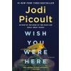 Wish You Were Here: A Novel