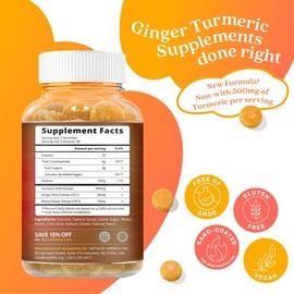 Turmeric Vitamin Supplement Gummies with Ginger & Black Pepper | Supports Joint Pain & Anti-Inflammatory Response | Active Ingredient 300mg Curcumin Extract | Vegan | Tropical Flavour (120 Count)