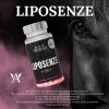 Kit Creatina Micronizada 450g Birdman + Quemador Lipoenzimas