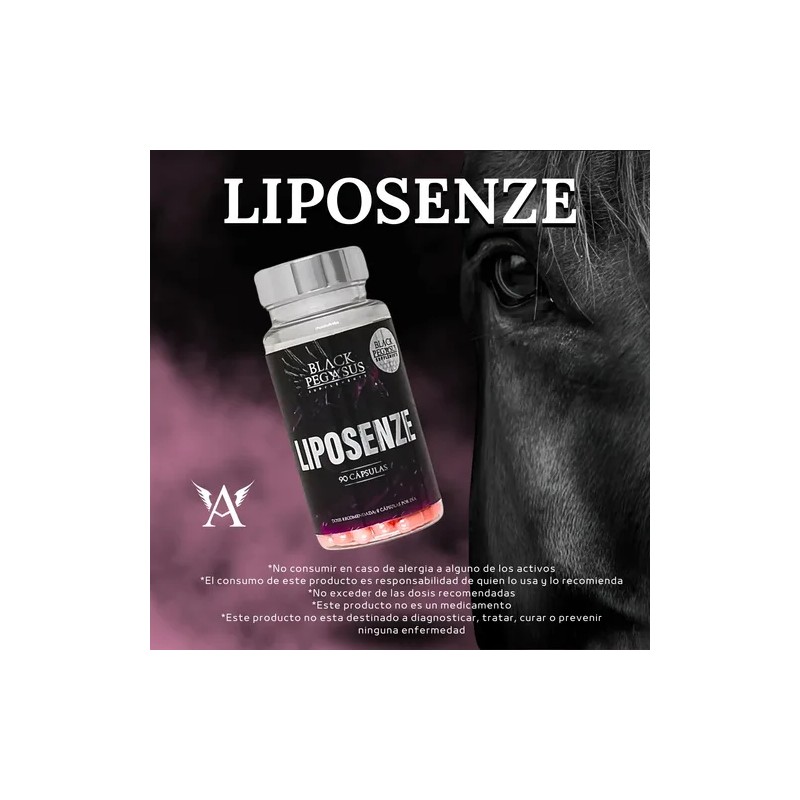 Kit Creatina Micronizada 450g Birdman + Quemador Lipoenzimas