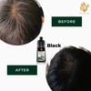 WiseStrand KKM Approved WiseStrand Natural Hair Dye Colour Shampoo |