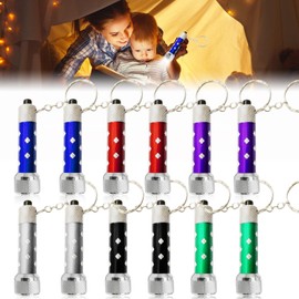 Pack of 12 LED Keychain Torch: Mini LED Torch Portable Kids Torch for Outdoor Camping Cycling (Red, Purple, Green, Blue, Black, Silver Grey)