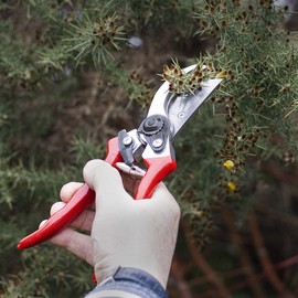 Amtech Garden Secateurs - Heavy Duty Pruning Scissors, Easy to Use with Ergonomic Anti-Slip Handles, Sharp Steel Blades and Long Lasting, with Safety Catch and Volute Spring