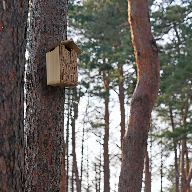Outer Trails Japanese Cedar Wooden Owl Houses, Bark Front