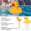 2Pcs Water Thermometer Set High Temperature Resistant Pool Chlorine Dispenser