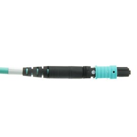 CableWholesale Plenum Fiber Optic Cable, MTP/MTP (MPO), Multimode OM3, Duplex, 12 Strand, 40/100 Gbps, 50/125, 10 Meter (33 Foot)