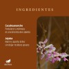 Shampoo Cacahuanache Anticaída Y Regenera 500 Ml