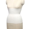 Made in Japan, EM Cotton, Stomach Wrap, Regular Length (Approx.