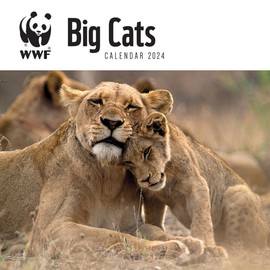 WWF Big Cats – Raubkatzen 2024: Original Carousel-Kalender [Mehrsprachig] [Kalender] (Wall-Kalender)