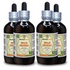 Wild Indigo (Baptisia Tinctoria) Tincture, Dried Roots Liquid Extract (Brand