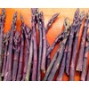 20 Asparagus Crown - Asparagus - Purple Passion 2 Year