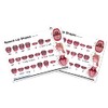 Speech lip shapes chart, water-proof (A4 chart)
