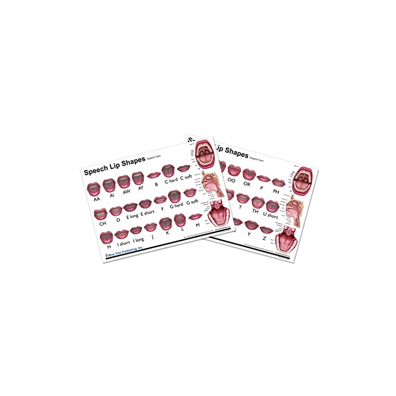 Speech lip shapes chart, water-proof (A4 chart)