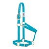 Weaver Leather Basic Halfter aus Nylon, verstellbar, türkis, 2,5 cm
