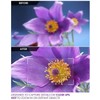 10x Macro Filter Lens for Insta360 Ace Pro/Ace Pro 2