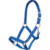 Posten Brisbane Headcollar Royal Blue Thoroughbred