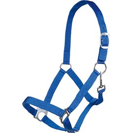 Posten Brisbane Headcollar Royal Blue Thoroughbred