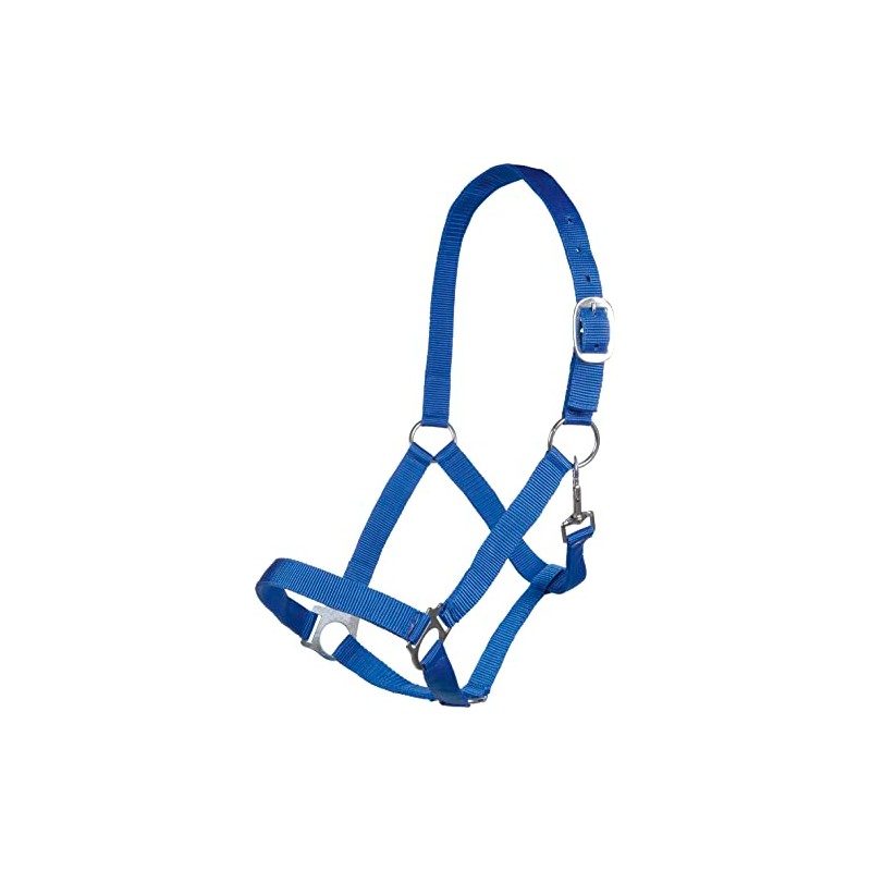 Posten Brisbane Headcollar Royal Blue Thoroughbred