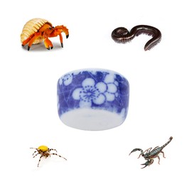 DQITJ 9 Pcs Spider Micro Ceramic Water Bowl, Hermit Crab Mini Dish for Spider Tarantula Hermit Crab Millipede Tiny Reptile
