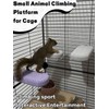 Niwaes Chinchilla Lava Ledges Rat Climbing Platform 4 Pack Pumice