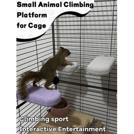 Niwaes Chinchilla Lava Ledges Rat Climbing Platform 4 Pack Pumice Ledge Shelf Pet Chewing Grinding Toys Small Animals Cage Accessories for Totoro Squirrel Guinea Pig Hamster Gray