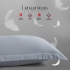 LYMA Bedding Pillow Cases 2 Pack, Ultra Soft Breathable Oxford