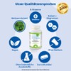 Dr. Jacob's Melissa Base Tablets I Good for Nerves &