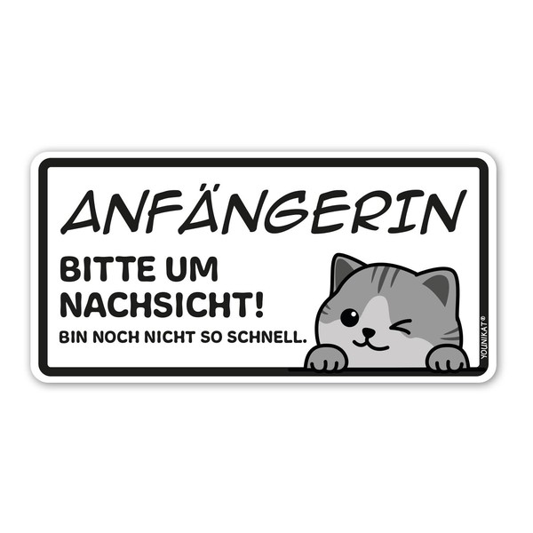 Vehicle Sticker Beginner Cat SW I 20 x 10 cm