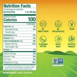 BranchOut Chewy Banana Slices, No Sugar Added, GentleDry Locks in Nutrition, Better than Freeze Dried Banana Chips, Healthy Vegan Snacks for Kids & Adults, 10 oz Party Bag