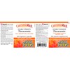 Natural Factors Theracurmin CurcuminRich DOUBLE STRENGTH 60 mg, 120 Vegetarian