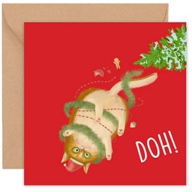 Felbridge Studio - Funny Cat Christmas Card- Cat Xmas Cards for Family Friend Mum Grandchildren - Meowy Christmas from Cat Kitten Tabby - 14cm