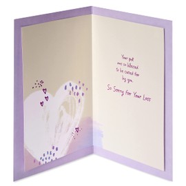 American Greetings Pet Sympathy Card (So Blessed)