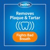 DenTek Premium Kit de cuidado oral