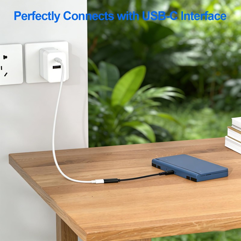 PDEEY 3DS to USB C Adapter Charger Cable Charging for