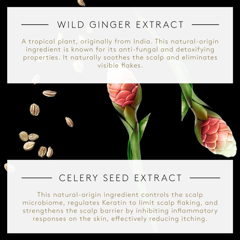 Rene Furterer Neopur Shamy Oily Dandruff