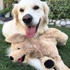 LotFancy LotFancy Dog Stuffed Animals Plush, 21" Soft Cuddly Golden