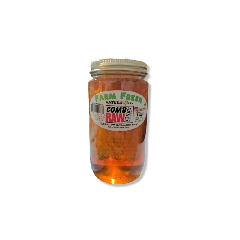 NATURZ BEEZ RAW HONEY COMB 1LB 100% PURE UNFILTERED USA