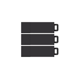 Centon DataStick Pro2 USB 2.0 Flash Drive 4GB x 3, Black (S1B-U2T2-4G-3)