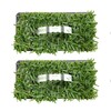 SodPods® St. Augustine Palmetto Grass Plugs for Lawn Repair, 3"